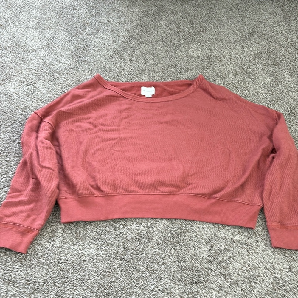 American Eagle Cropper Sweatshirt